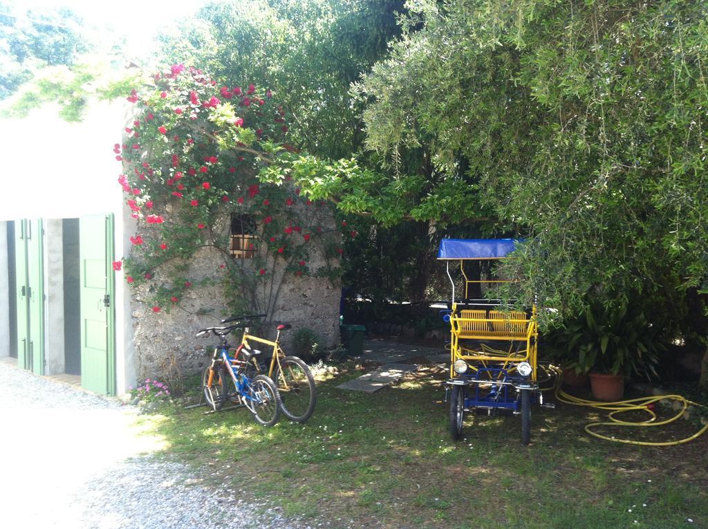Corte Canale Virgilio Hotel Volta Mantovana Buitenkant foto